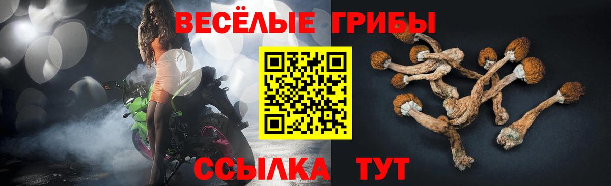Дзержинский  Псилоцибиновые грибы ЛСД  Вход с VPN 